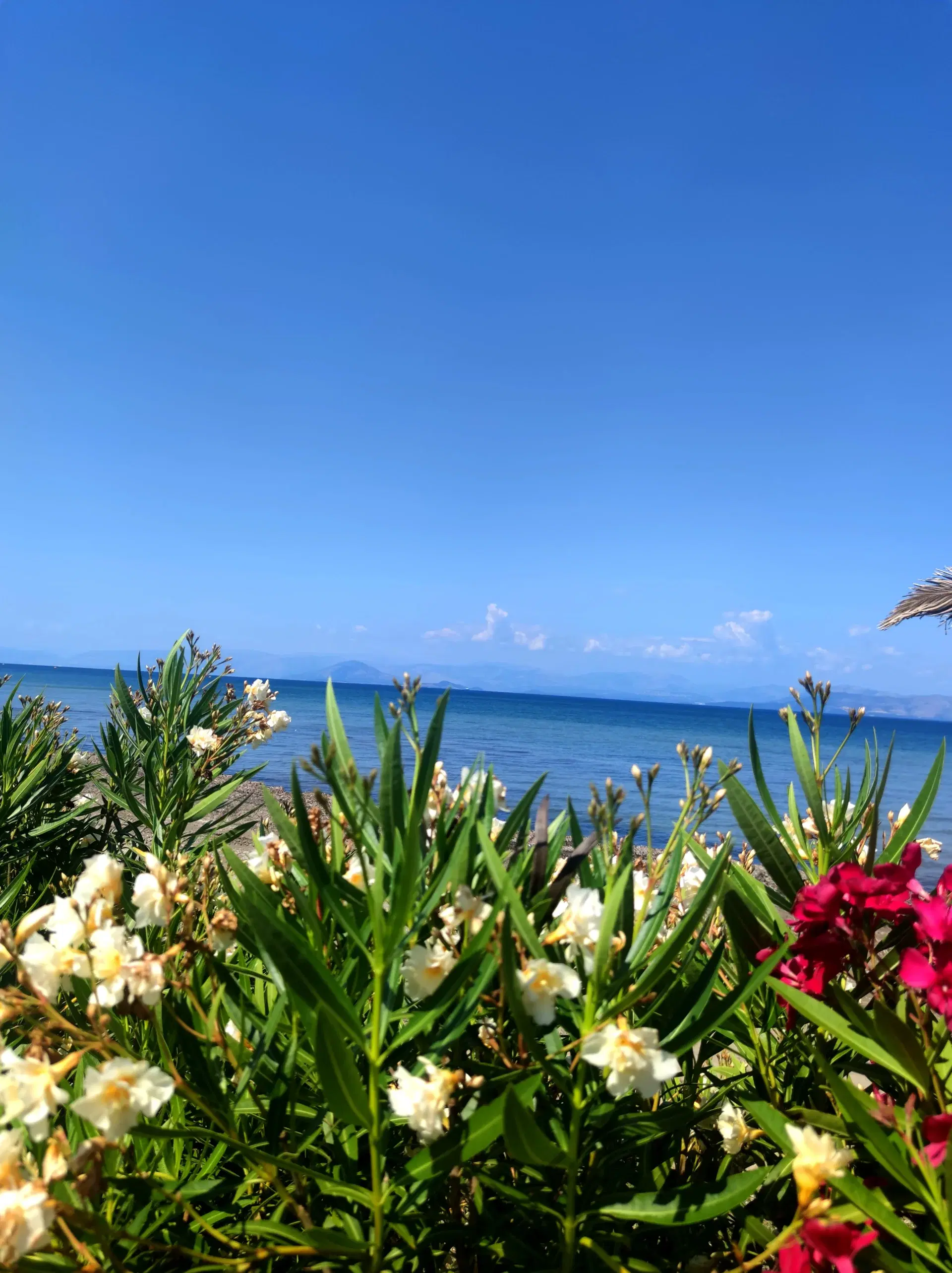 Blue Waves Corfu Aparthotel — 43. kép